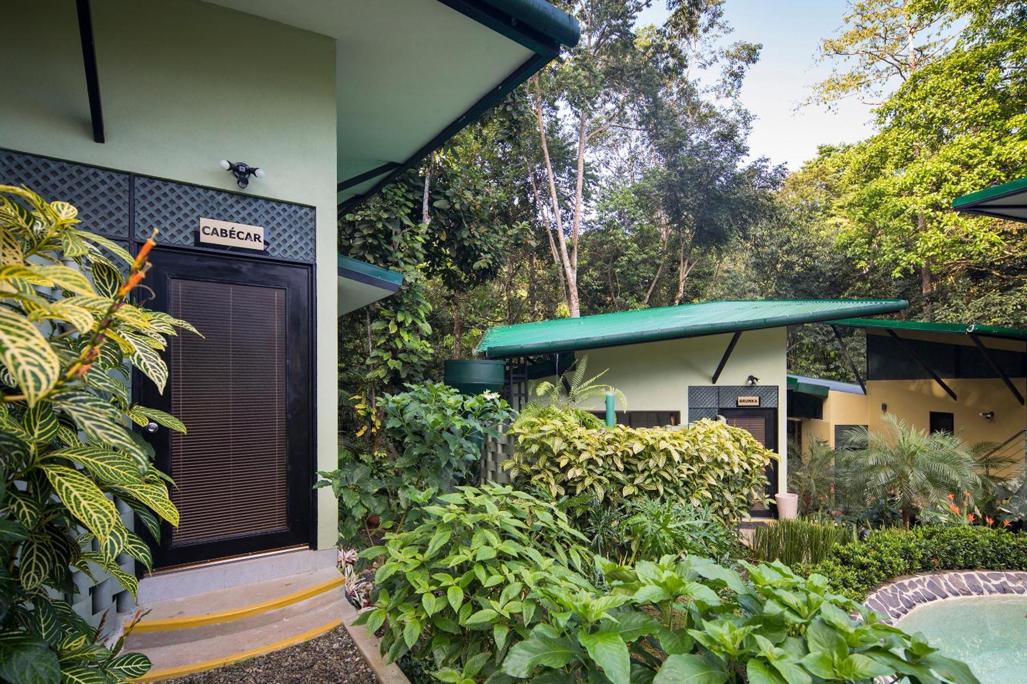 Yaba Chigui Lodge Ojochal Chambre photo